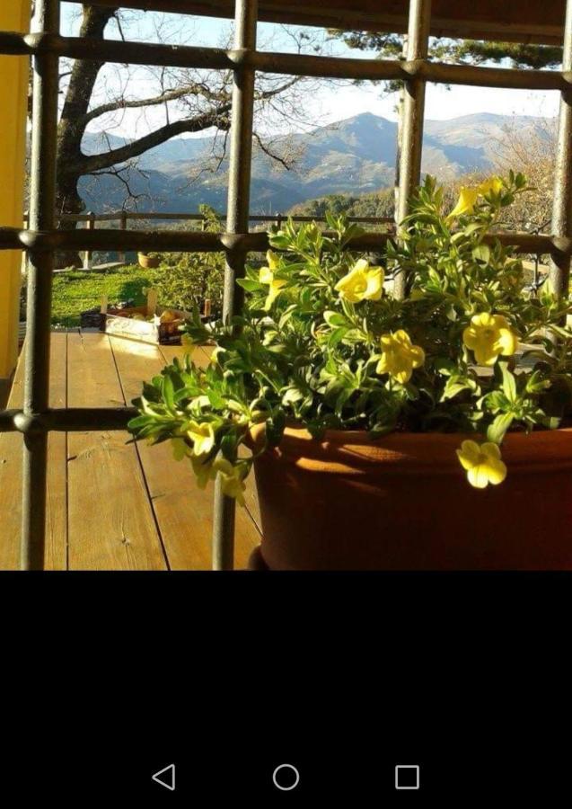 Elsa House Bed and Breakfast Mezzanego Exteriör bild