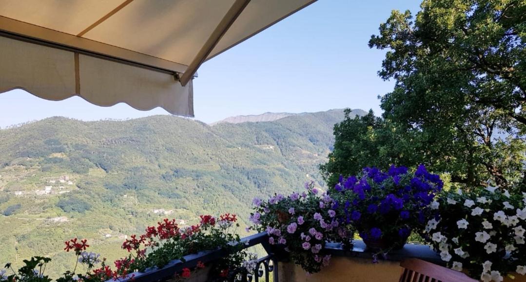 Elsa House Bed and Breakfast Mezzanego Exteriör bild
