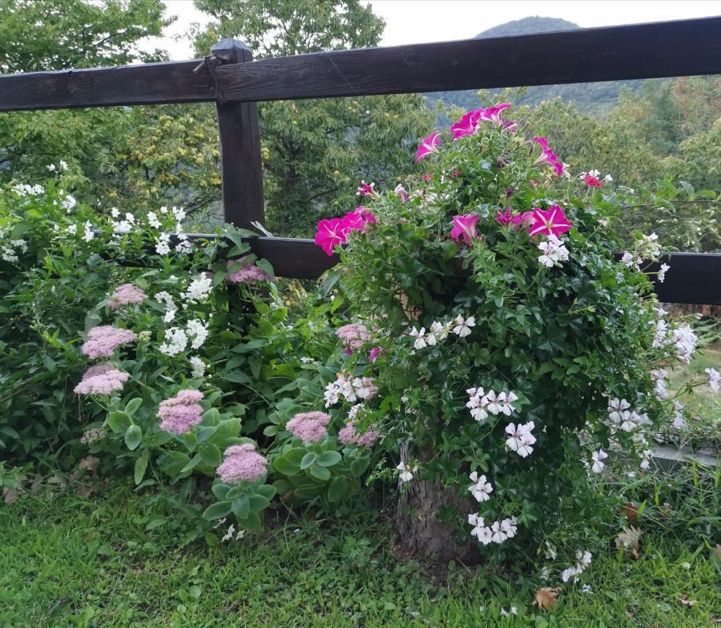 Elsa House Bed and Breakfast Mezzanego Exteriör bild